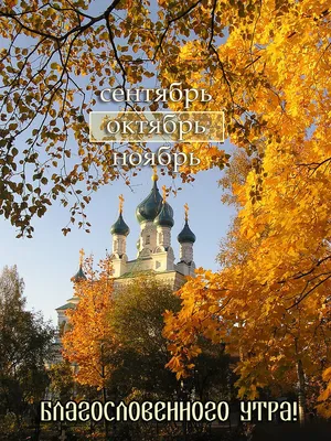 С добрым утром октября - самые красивые новые картинки (61 ФОТО) | Доброе  утро, Картинки, Фотоальбом