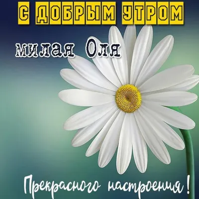 Пин от пользователя Елена на доске Открытки | Открытки, Доброе утро,  Утренние цитаты