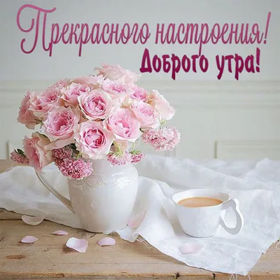 Доброе утро, подруга моя! #утро #сдобрымутром #владаалматы #видеопожел... |  TikTok