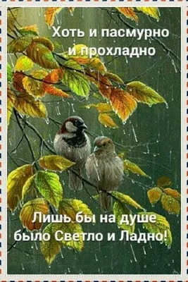 🐦👁🦢🧶 доброе утро!🌹восход …» — создано в Шедевруме