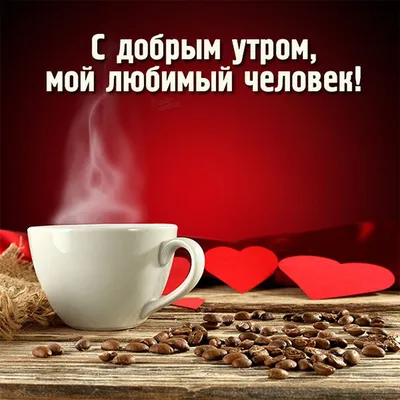 Идеи на тему «Доброе утро любимый» (40) | открытки, доброе утро,  романтические цитаты