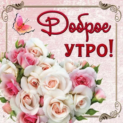 Доброе утро | Доброе утро, Розы, Весенние цветы