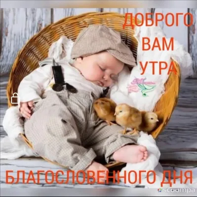 Доброе утро, семья! (фото) - jokepix.ru