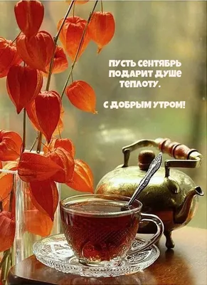 Пин от пользователя Светлана Игнатова на доске Доброе утро | Осенние  картинки, Фотографии для мотивации, Кофейные иллюстрации