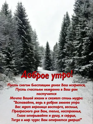 Доброе предоброе утро | Новогодние цитаты, Счастливые картинки, Зимние  цитаты