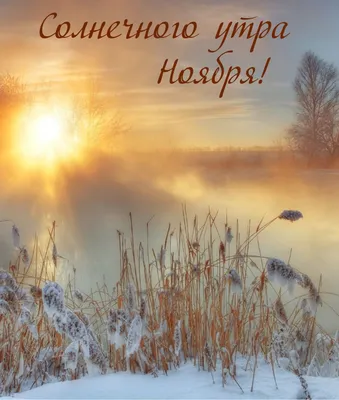 Зимний пейзаж в чистой погоде Доброе утро, солнце Снег играет блеск Снежный  парк Стоковое Фото - изображение насчитывающей сельско, сосенка: 132736552