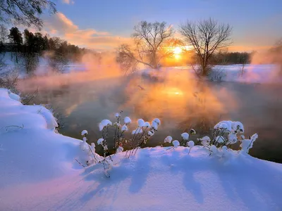 Открытки С Природой Первым Снегом И Добрым Утром | TikTok