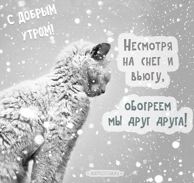 Доброе утро! ❤️ Пусть снегом блестящим денек ваш искрится! ❤️ Музыкальное  пожелание ❤️ - YouTube