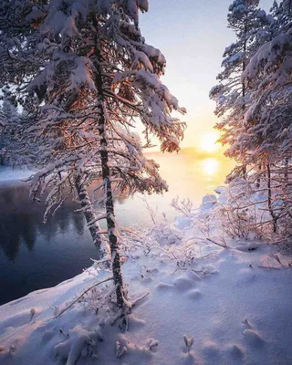 Доброе утро зима (137 фото) - 137 фото