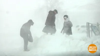 Доброе утро! | Осенний пейзаж, Пейзажи, Живописные пейзажи