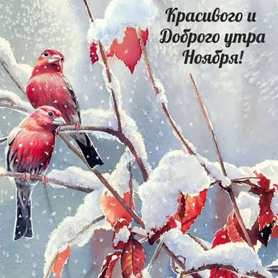 Москва FM - Доброе утро! ☁️Сегодня будет небольшой снег. 🌡Температура днём  -14° Удачного дня! 📸 Фото: instagram.com/julia_lusha | Facebook