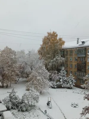 Доброе утро Рассвет, зима, иней, …» — создано в Шедевруме