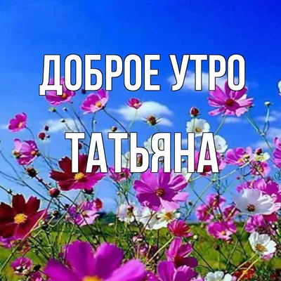 Доброе утро! | Утренние цитаты, Доброе утро, Воскресенье