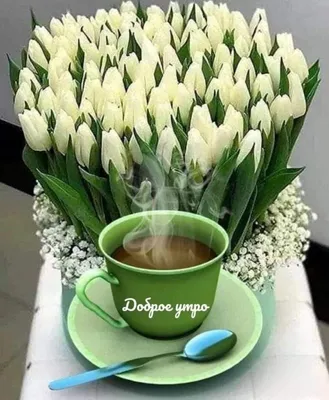Букет из красивых тюльпанов, бумага с текстом доброе утро и чашка кофе на  цветном фоне :: Стоковая фотография :: Pixel-Shot Studio