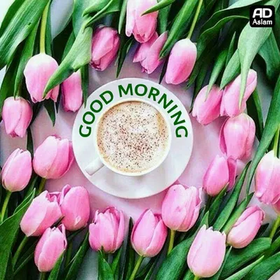 тюльпан цветы и отмечает доброе утро на сером фоне завтрак в день матери  или женский день Стоковое Фото - изображение насчитывающей мать, кафе:  219710972