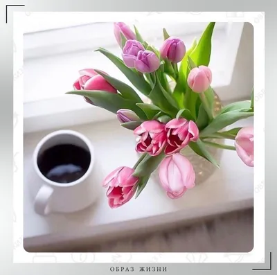 Доброе утро с тюльпанами - 80 фото