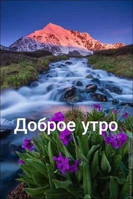 Эгоистка - Утро в горах 😍 ______ Доброе утро🤗 | Facebook