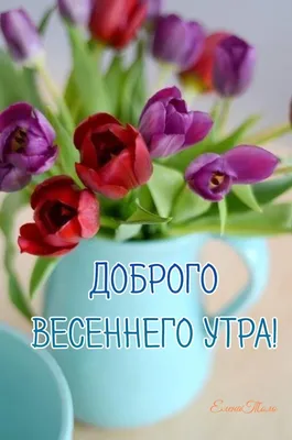 Доброе утро # Прекрасного дня # | TikTok