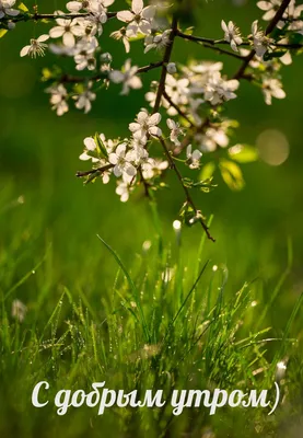 Идеи для жизни - Доброе утро. Весна на пороге 🌷 | Facebook