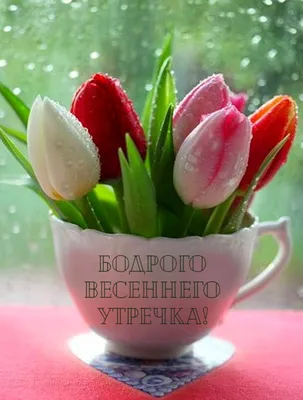 доброе весеннее утро чашка кофе на столе с красными тюльпанами Стоковое  Изображение - изображение насчитывающей померанцово, жизнь: 216420093