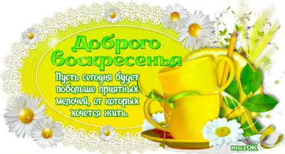 Всем доброго воскресного утра, хорошего настроения, мира, счастья и добра!