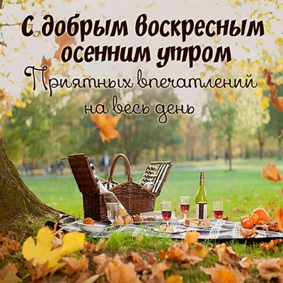 ☕️ Доброе воскресное утро! 🌸 Прочь обиды и сомненья, ворох дел ты  позабудь. - YouTube