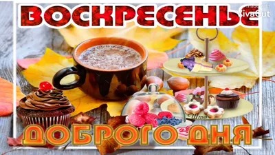 ☀️Доброе воскресное утро,Барнаул! Сегодня днем +20...+23🌅 | Barnaul 22 |  ВКонтакте