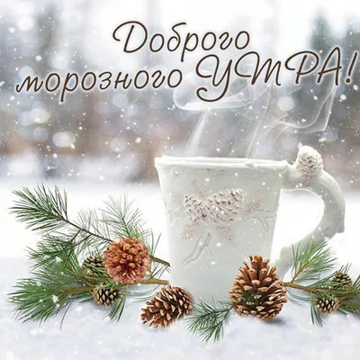 Доброе Зимнее Утро Картинки фотографии