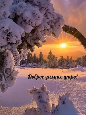 ДОБРОЕ ЗИМНЕЕ УТРО! ~ Gif-анимация