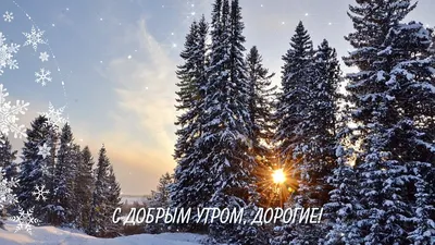 Картинка - Доброе зимнее утро! .