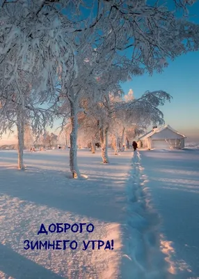 Красивые открытки бесплатно! Картинка открытка с пожеланиями доброго  зимнего утра, зима доброе утро!