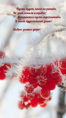 Картинки с добрым утром красивые нежные зимние (38 фото) » Красивые  картинки, поздравления и пожелания - Lubok.club
