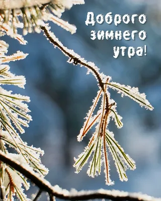 Открытки открытка зимнее доброе утро пожелания доброго зимнего утра