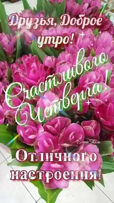 ЦСПСиД Диалог - Хорошего дня, дорогие друзья! #ДоброеУтро | Facebook