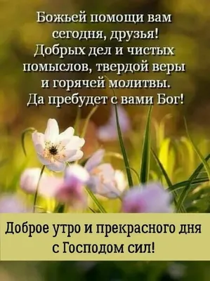 Доброе утро, друзья. Хорошего дня и настроения. Пусть день начнётся с  доброты - Лента новостей Киева