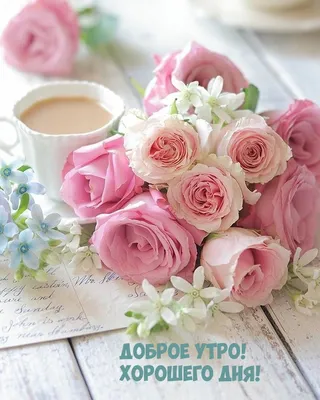 С Добрым утром, Друзья! Хорошего дня! Пусть даже маленькие радости сделают  ваш день счастливым! | ВКонтакте