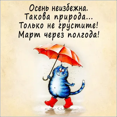 хорошего дня / смешные картинки и другие приколы: комиксы, гиф анимация,  видео, лучший интеллектуальный юмор.