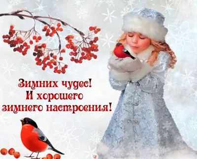 Прекрасного дня зимы картинки (35 фото) » Красивые картинки, поздравления и  пожелания - Lubok.club