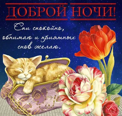 Доброй Ночи Картинки фотографии