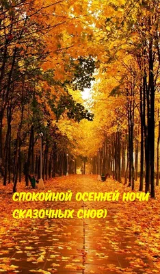 Осенние картинки \"Спокойной Ночи!\" (270 шт.)