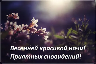 Весенние открытки \"Спокойной ночи!\" (254 шт.)