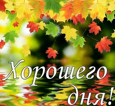 Картинки с надписями. Хорошего осеннего дня Вот и осень прилетела. |  Осенний пейзаж, Пейзажи, Осенние картинки