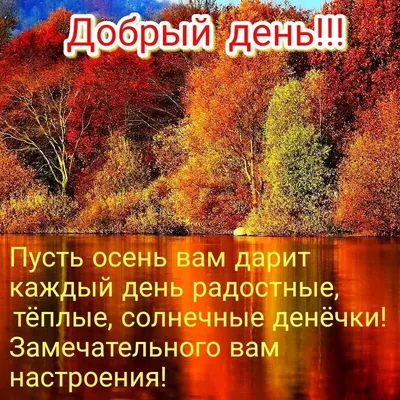 Доброго осеннего дня, открытки с пожеланиями! Добрый день! Осень! Доброго  осеннего дня... | Страница 1