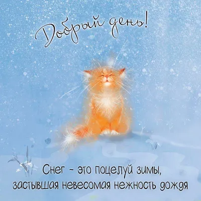 Доброго воскресного дня картинки зимы (36 фото) » Красивые картинки,  поздравления и пожелания - Lubok.club