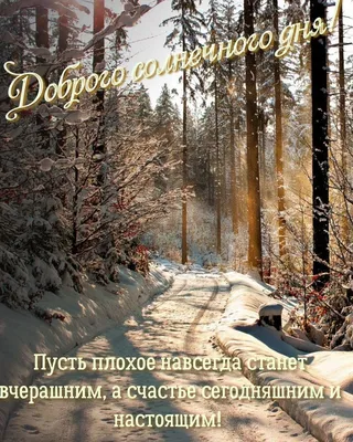 Добрый день картинки позитивные зимой (34 фото) » Красивые картинки,  поздравления и пожелания - Lubok.club
