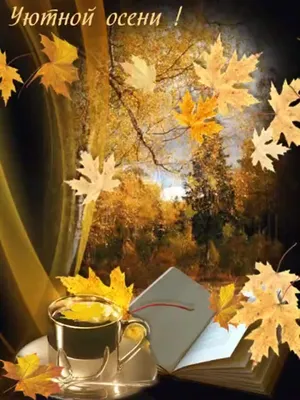 Доброго вечера | Осень, Милые открытки, Романтический вечер