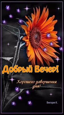 Добрый Вечер!🤗🌹 | Веселые картинки, Закаты, Доброе утро