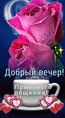 Добрый вечер! Приятного общения! ❤️🌹🌹☕🌹🌹❤️ | Красивые розы, Открытки,  Цветочное искусство