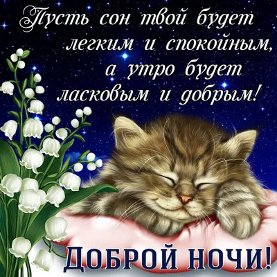 Желаю сладких, добрых снов, чтобы хорошенько выспаться, полноценно  отдохнуть и проснуться в позитивном настроении на.. | ВКонтакте