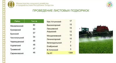 В МЧС Татарстана напомнили, где в республике запрещено жарить шашлыки |  Новости Татарстана | Дзен